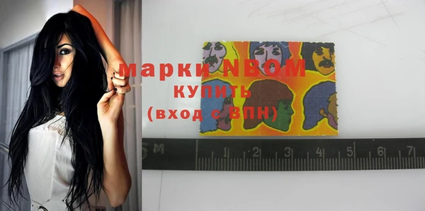 твердый Абаза