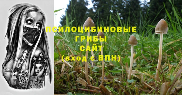 твердый Абаза