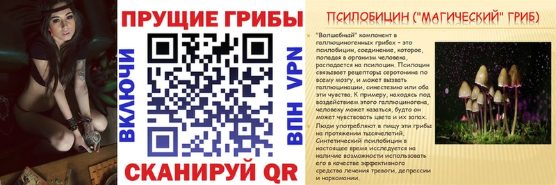 Псилоцибиновые грибы мицелий  Ртищево 