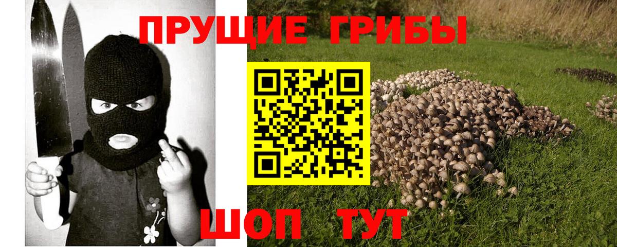 Псилоцибиновые грибы ЛСД Ртищево