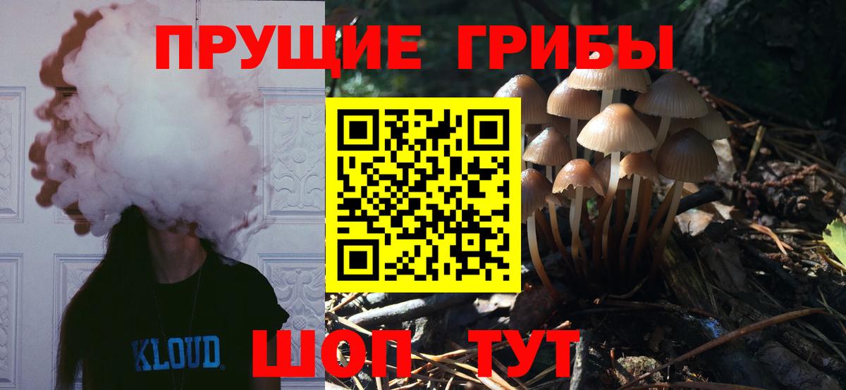 Псилоцибиновые грибы Psilocybine cubensis  Вход с VPN  Ртищево 